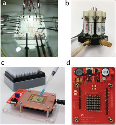 Conquering the Tyranny of Number With Digital Microfluidics